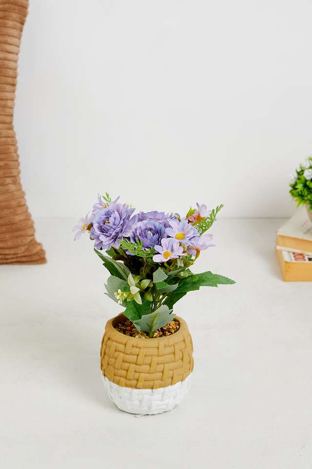 Blue-Dahlia-Potted-Flower