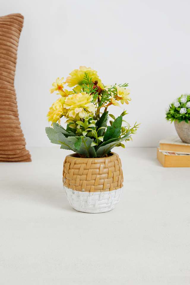 Yellow-Dahlia-Potted-Flower