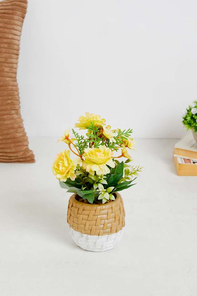 Yellow-Dahlia-Potted-Flower