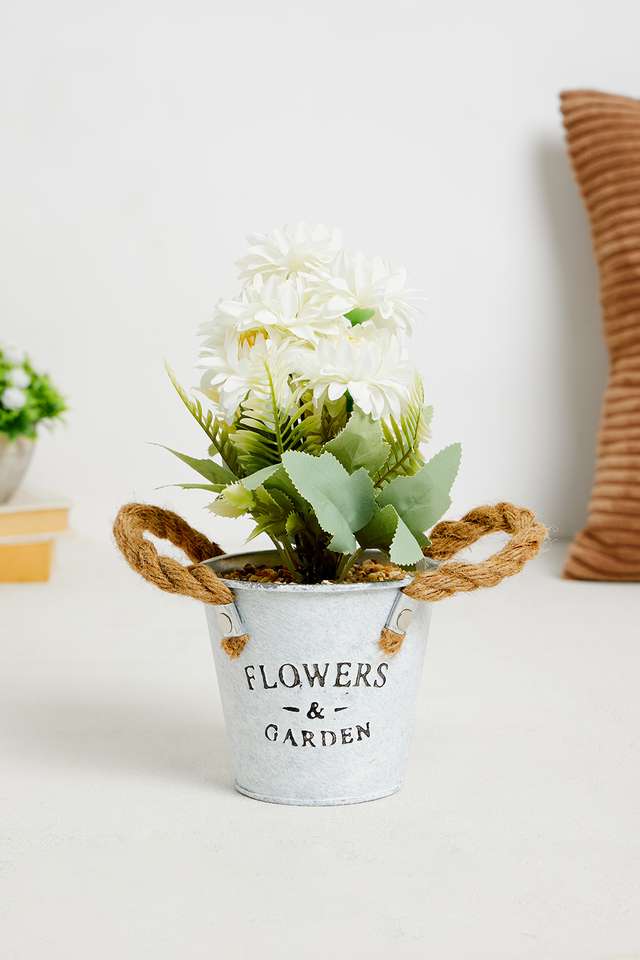 White-Gerbera-Potted-Flower