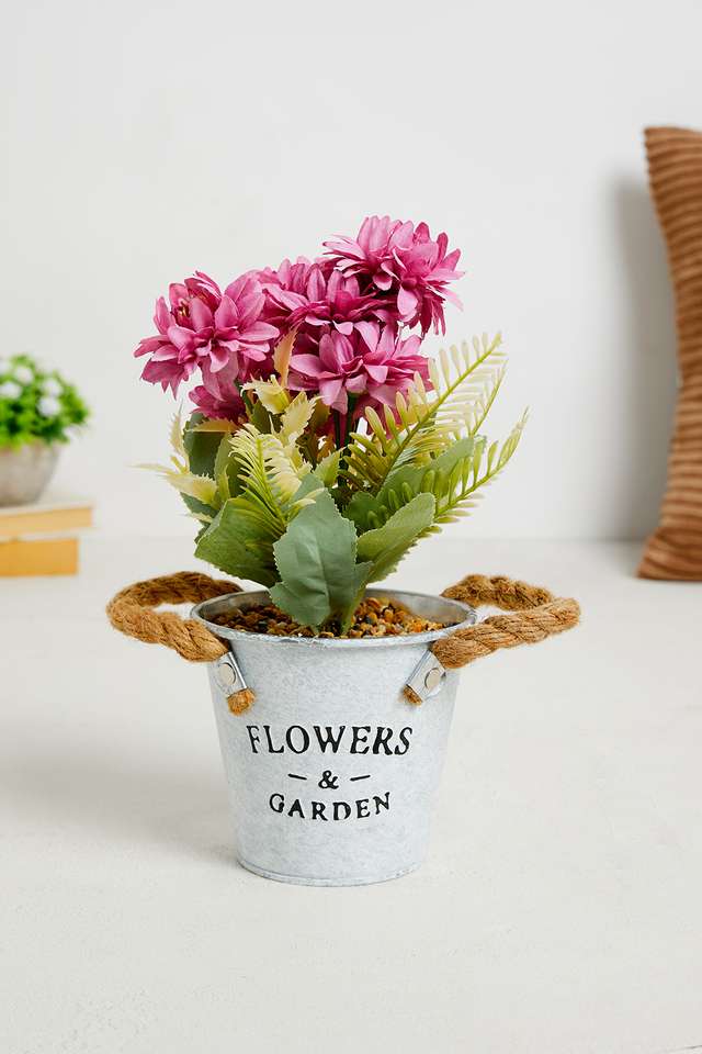 Purple-Gerbera-Potted-Flower