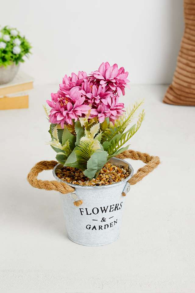 Purple-Gerbera-Potted-Flower