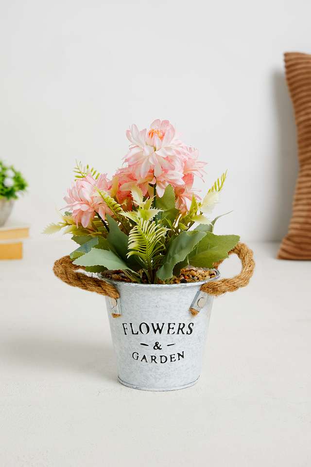 Pink-Gerbera-Potted-Flower