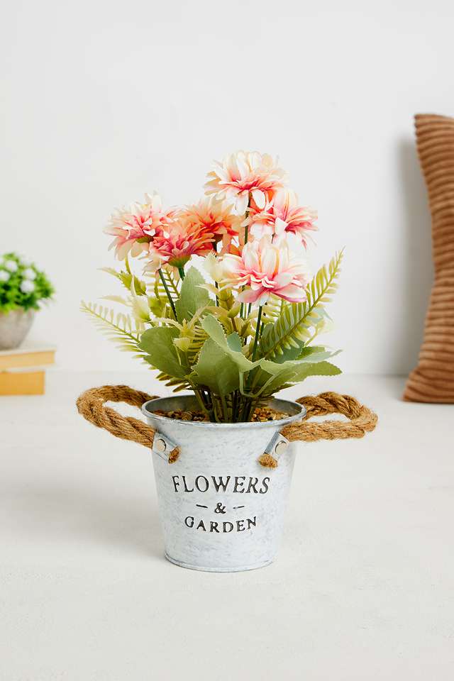 Peach-Gerbera-Potted-Flower