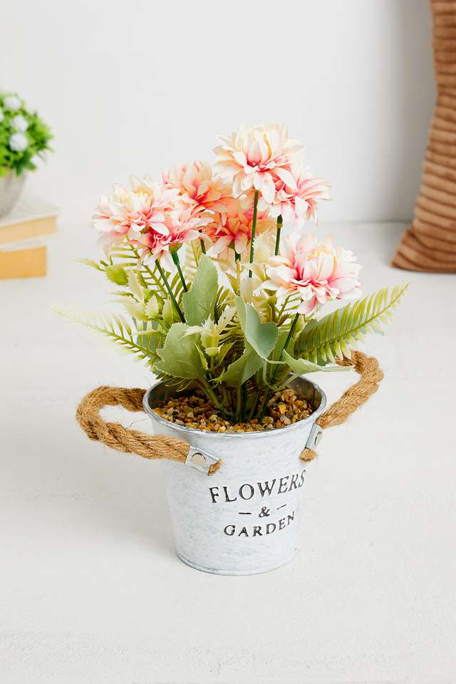 Peach-Gerbera-Potted-Flower