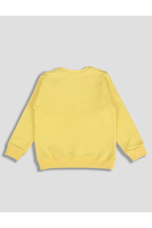 Graphic-Print-Blended-Fabric-Round-Neck-Boys-Sweatshirt