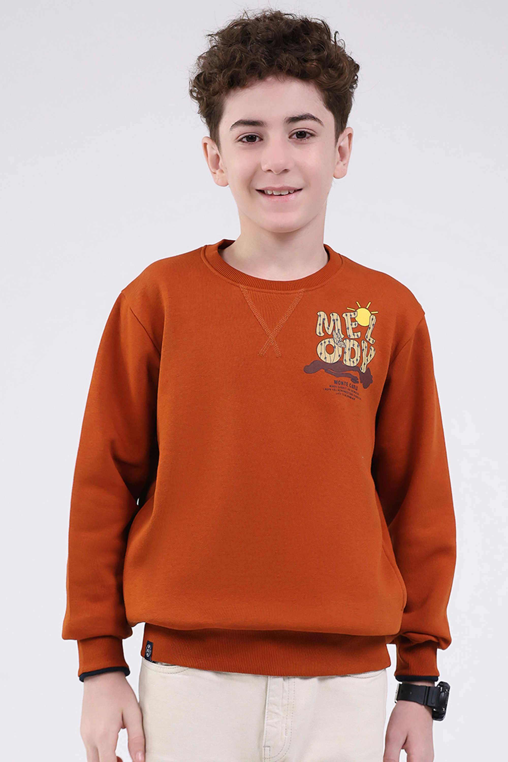 Printed-Cotton-Blend-Round-Neck-Boys-Sweatshirt