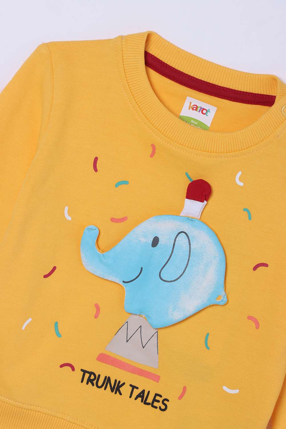 Printed-Cotton-Round-Neck-Infant-Boys-Sweatshirt