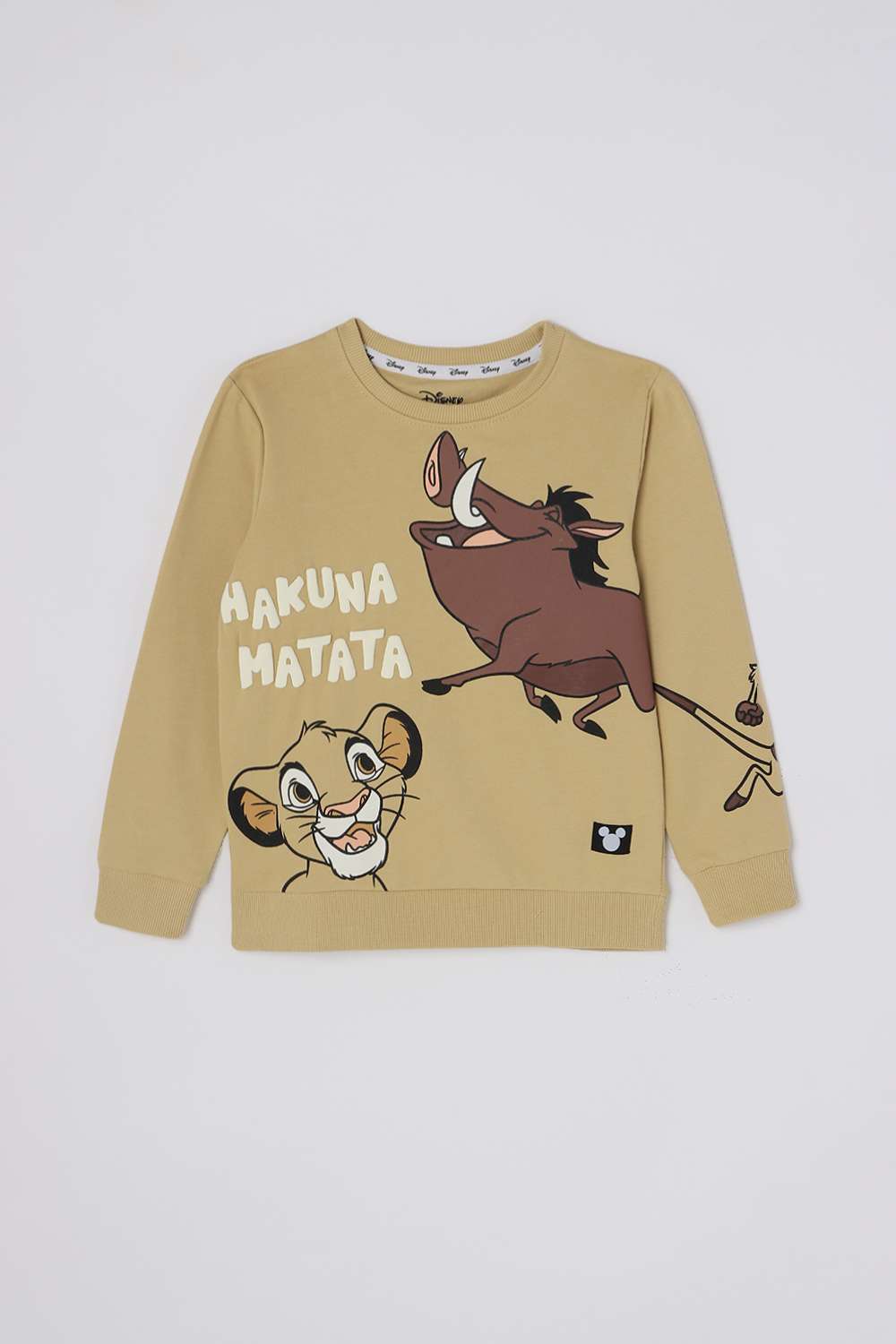Graphic-Print-Cotton-Round-Neck-Boys-Casual-Wear-Sweatshirt