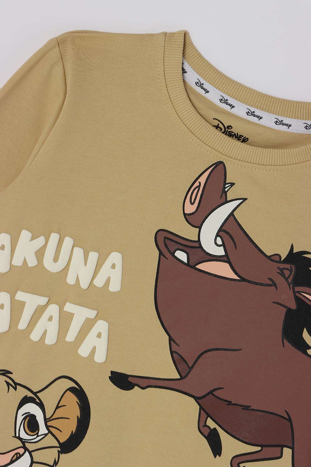 Graphic-Print-Cotton-Round-Neck-Boys-Casual-Wear-Sweatshirt