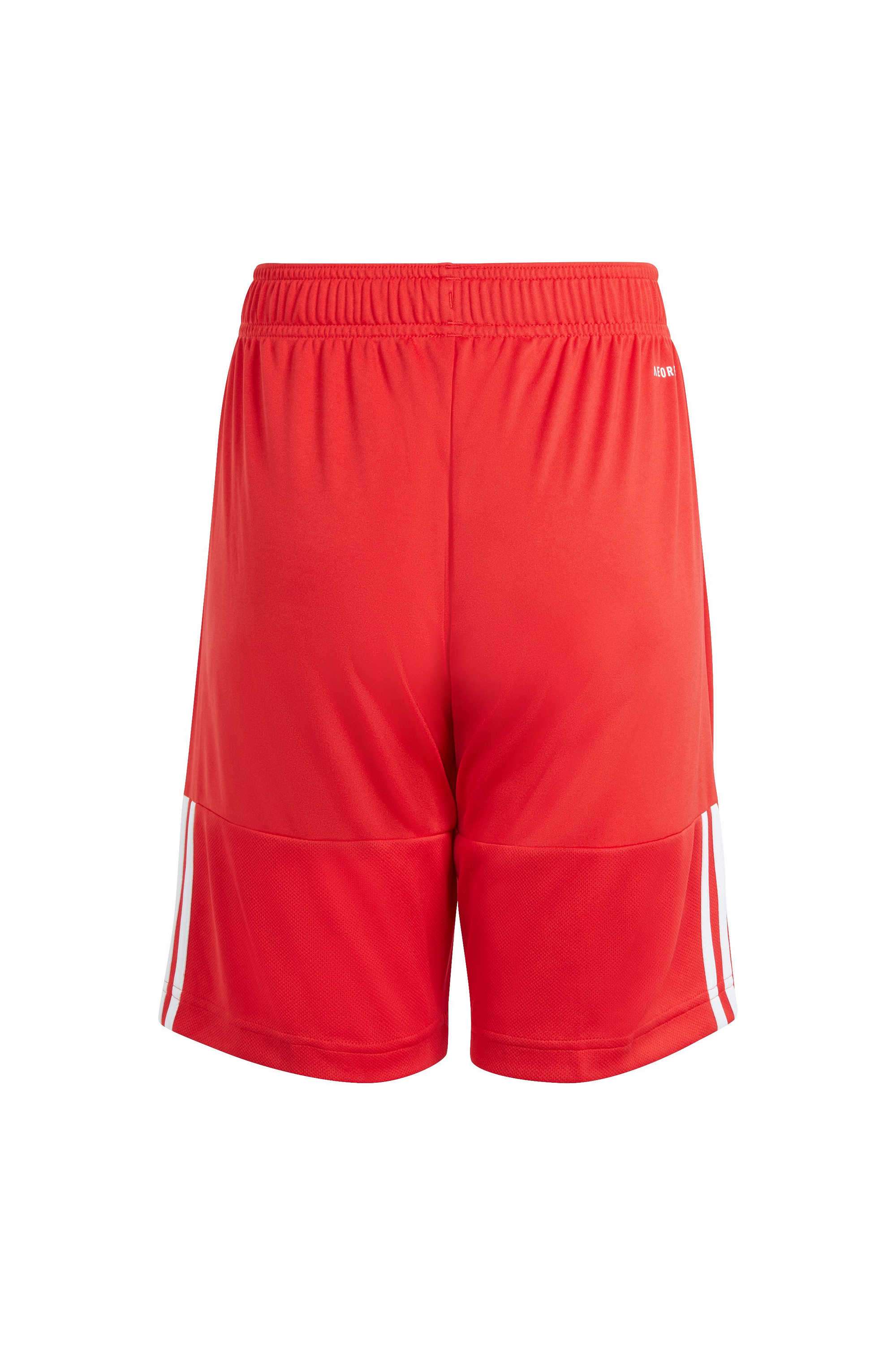 Printed-Polyester-Regular-Fit-Boys-Shorts