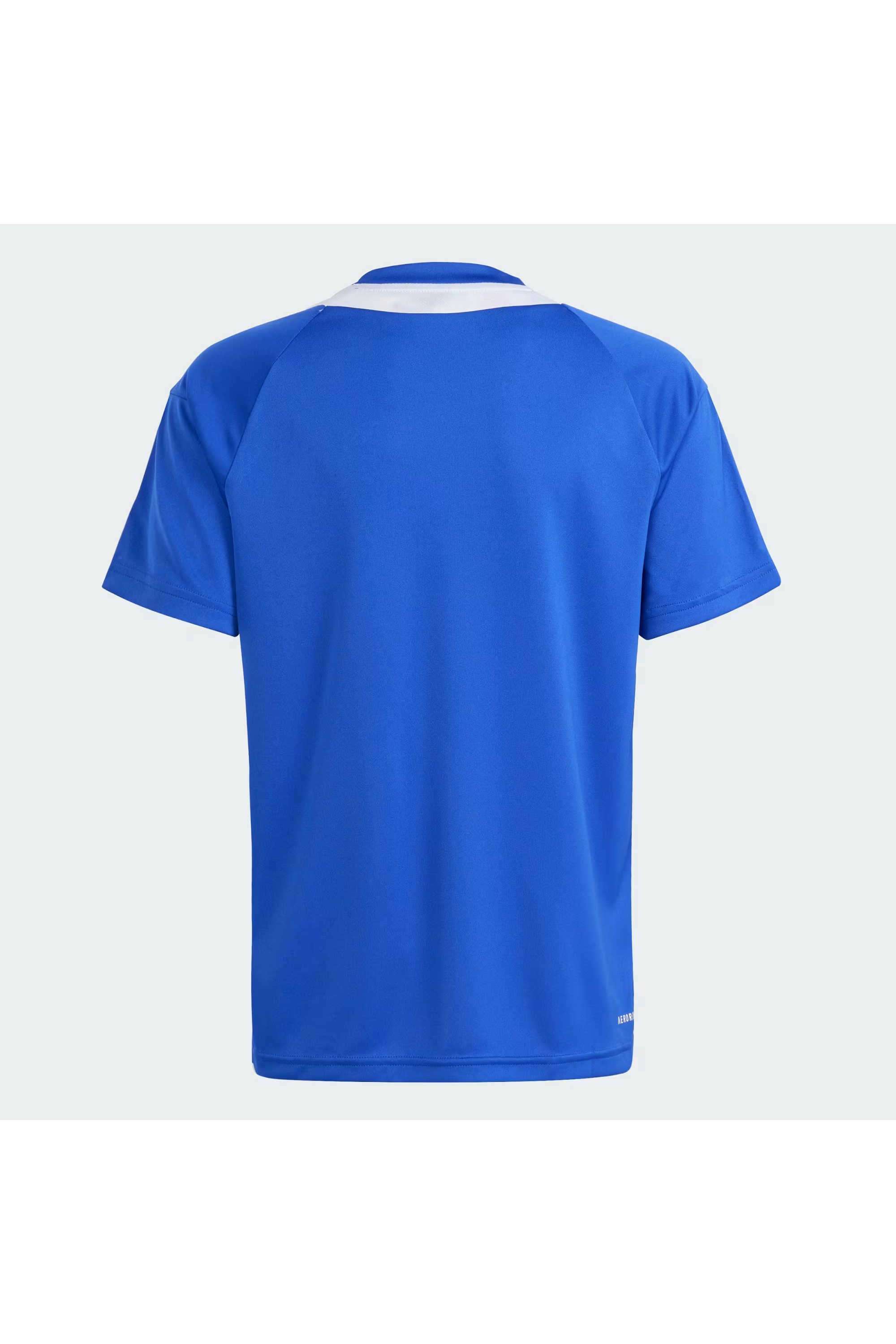 Printed-Polyester-Round-Neck-Boys-T-Shirt