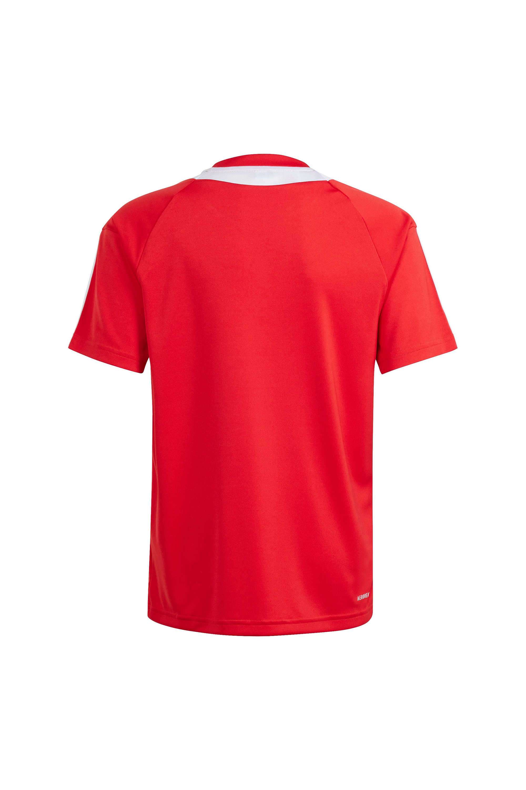 Printed-Polyester-Round-Neck-Boys-T-Shirt