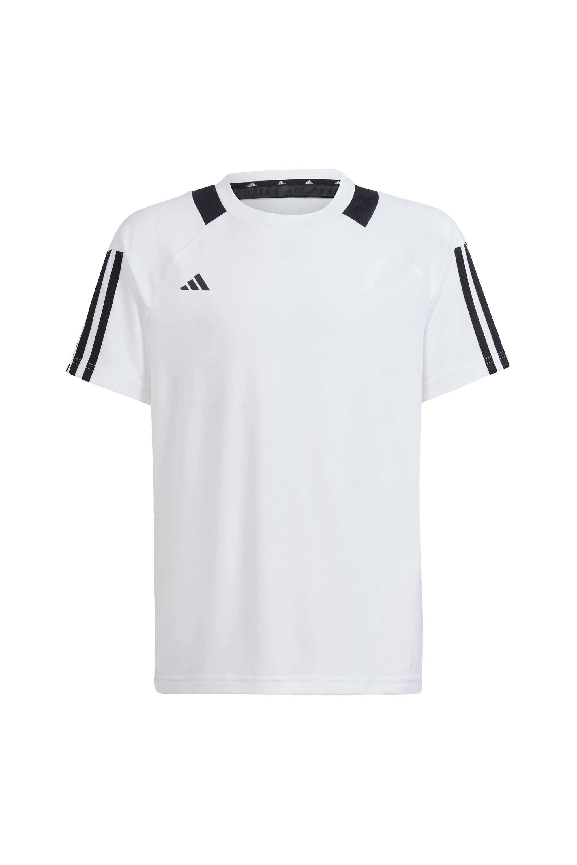 Printed-Polyester-Round-Neck-Boys-T-Shirt