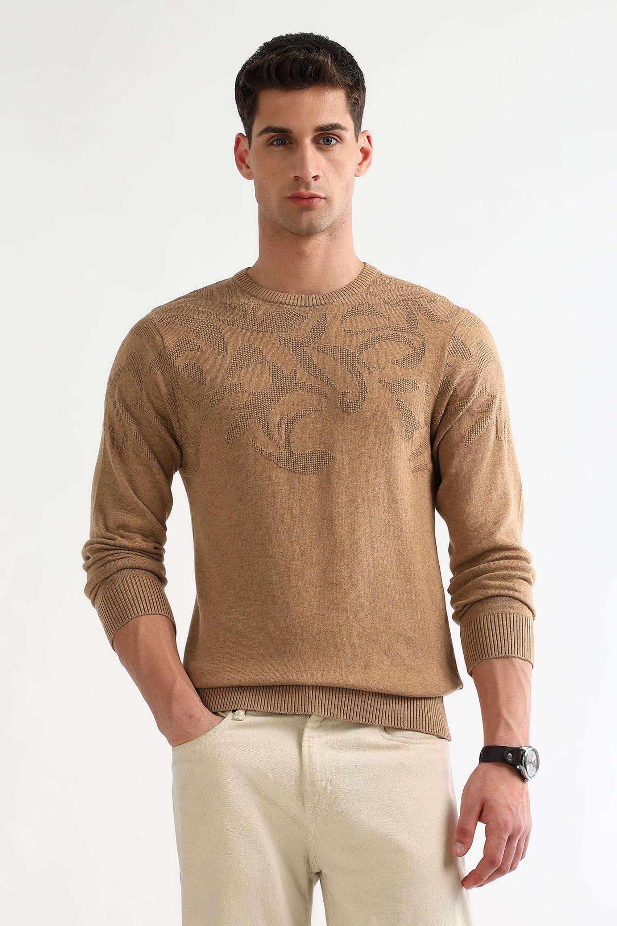 Solid-Cotton-Blend-Regular-Fit-Men-s-Sweater