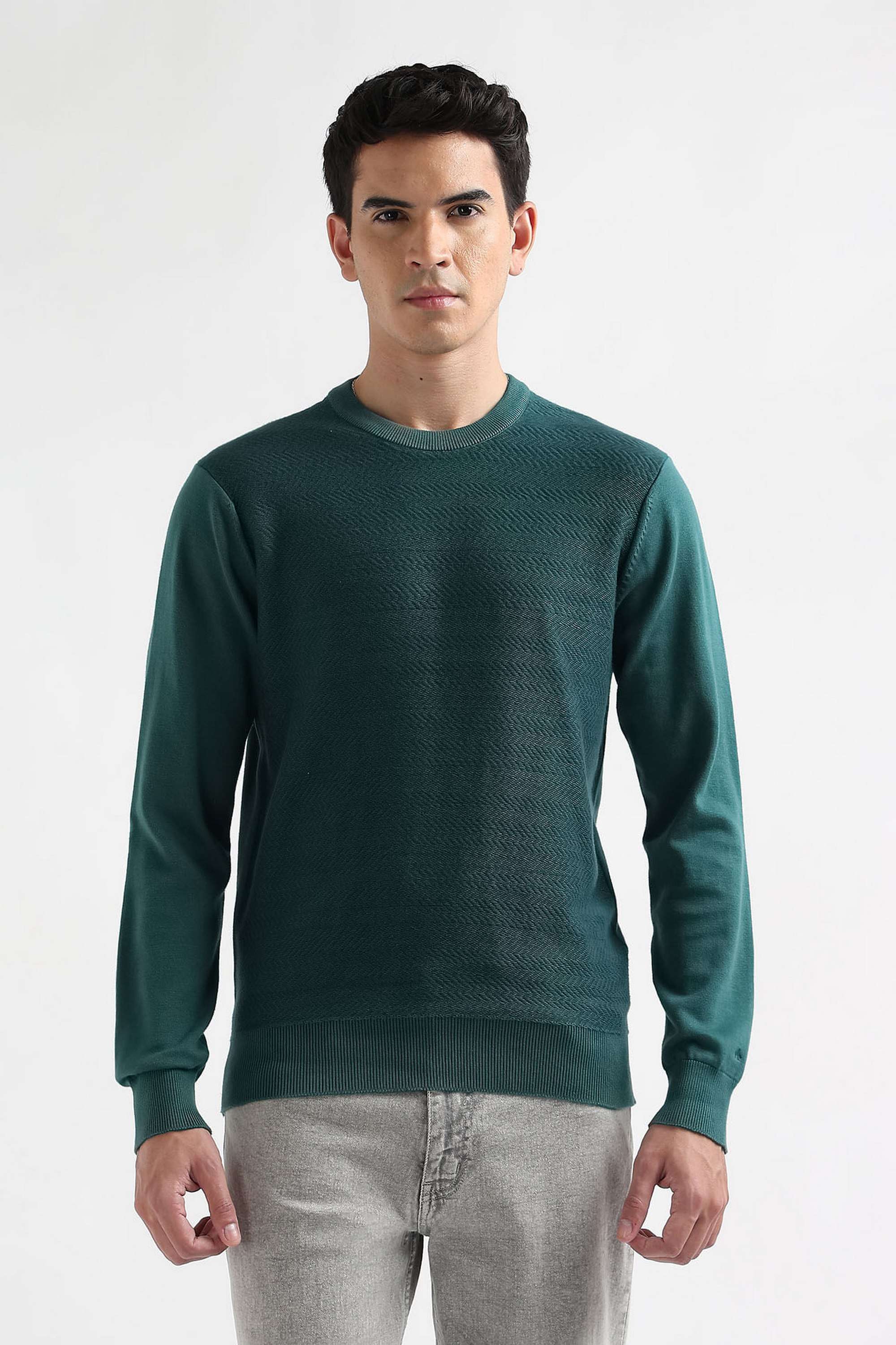 Textured-Cotton-Blend-Regular-Fit-Men-s-Sweater