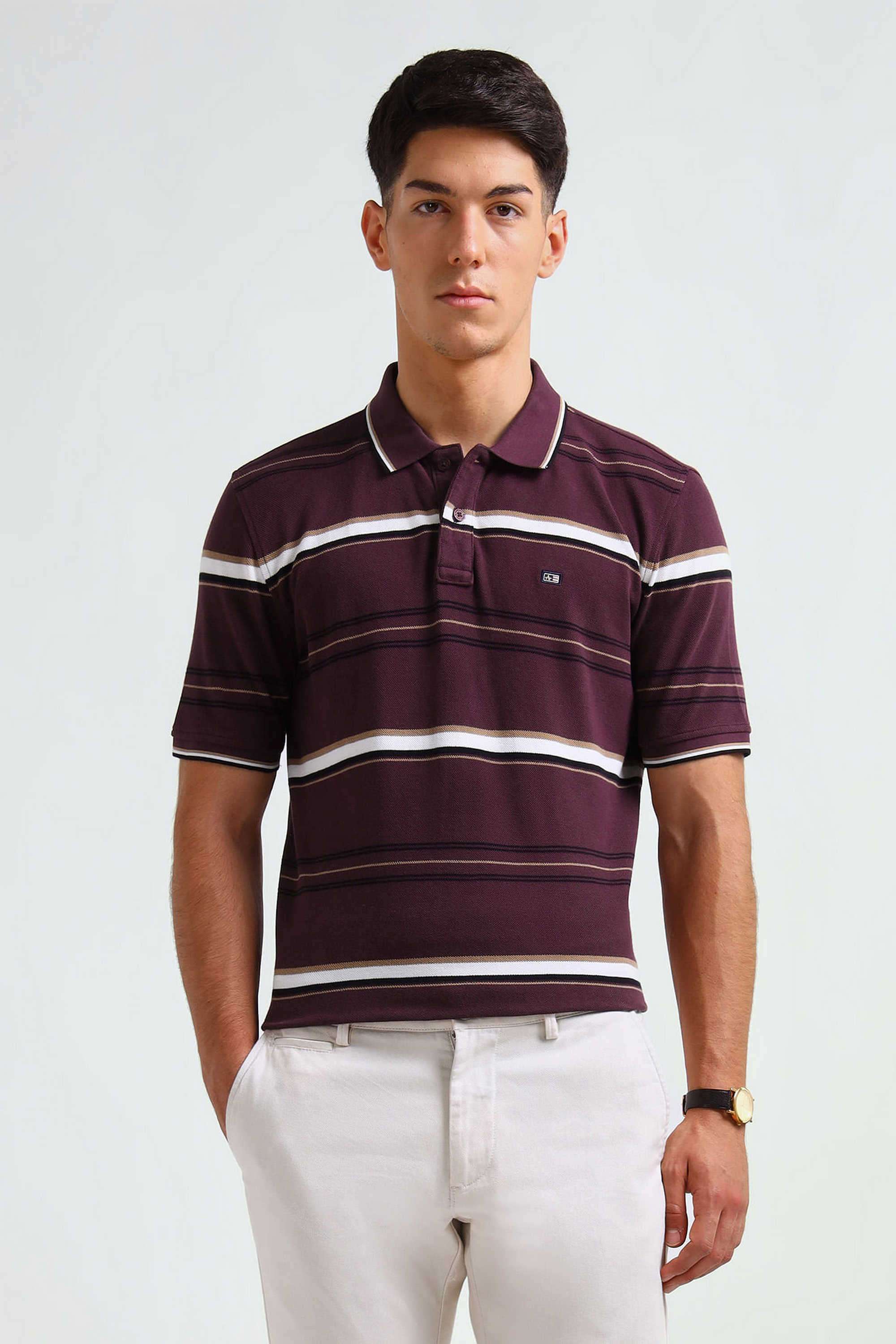 Stripes-Cotton-Blend-Regular-Fit-Men-Polo-T-Shirt