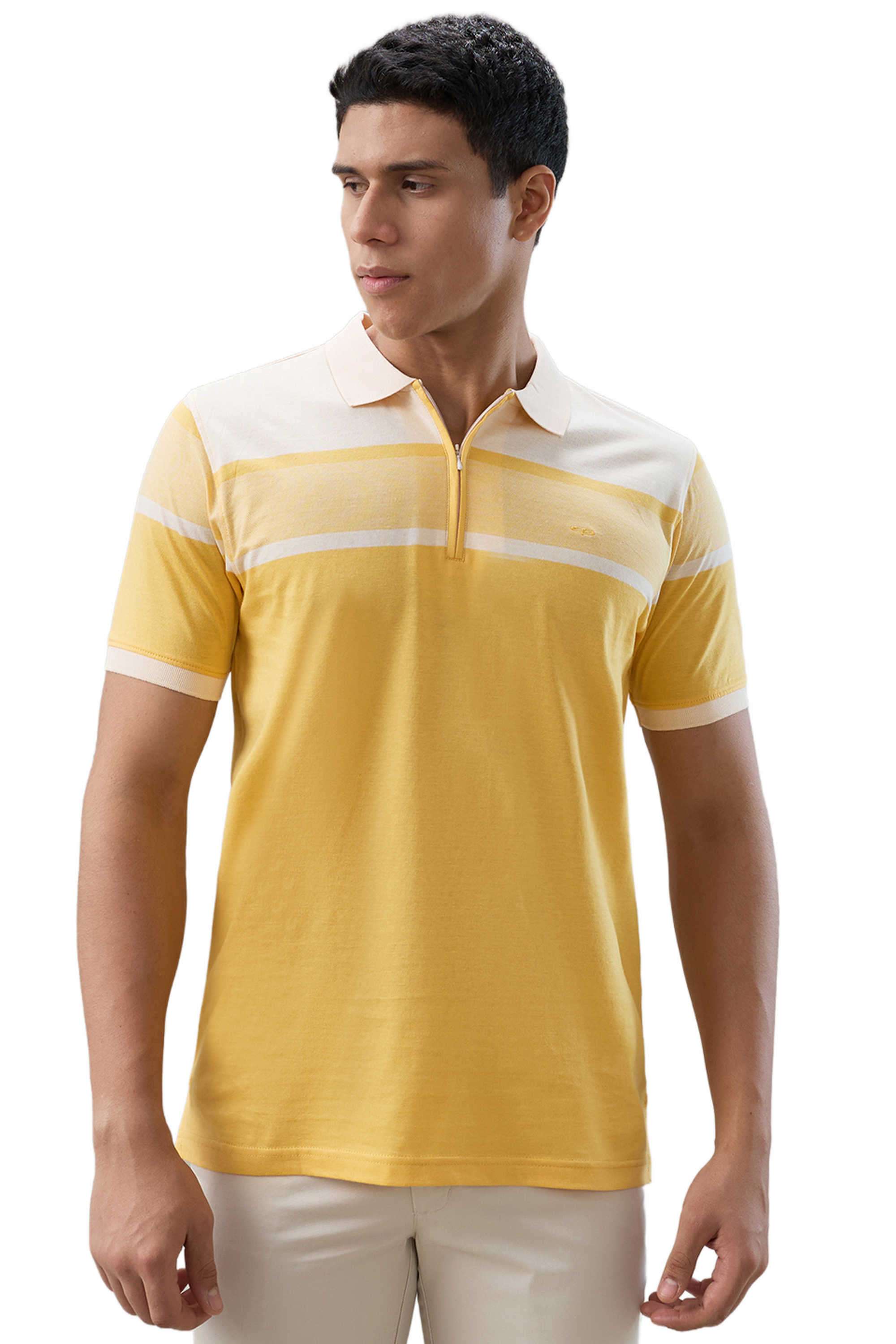 Stripes-Cotton-Regular-Fit-Men-Polo-T-Shirt