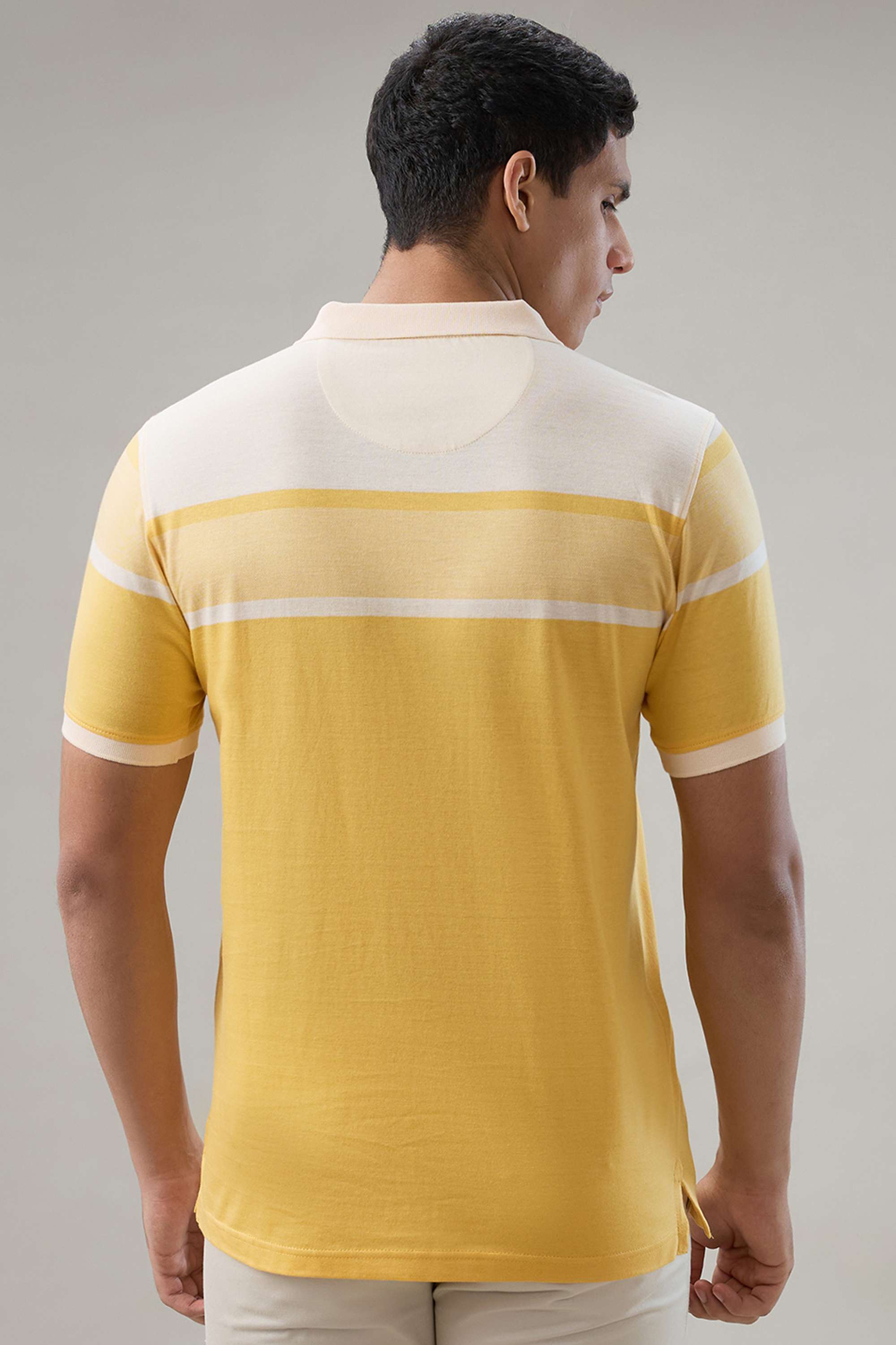 Stripes-Cotton-Regular-Fit-Men-Polo-T-Shirt