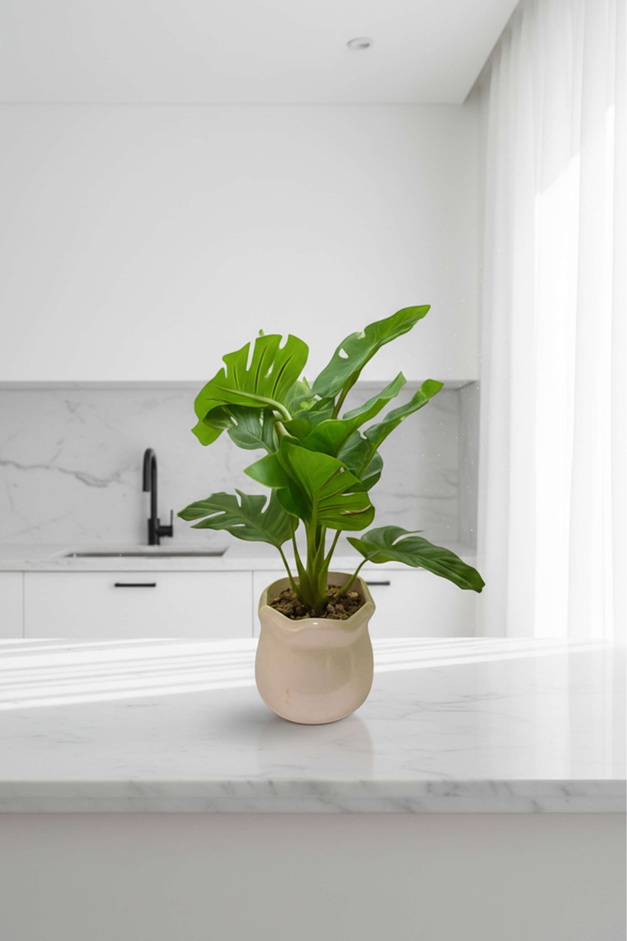Noir-Plastic-Artifical-Potted-Plants-30-cm