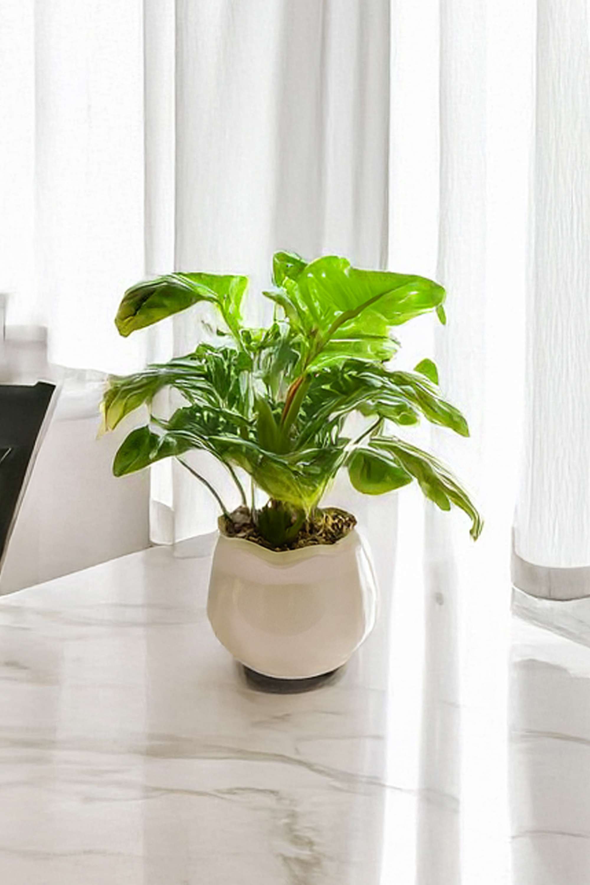 Noir-Plastic-Artifical-Potted-Plants-30-cm