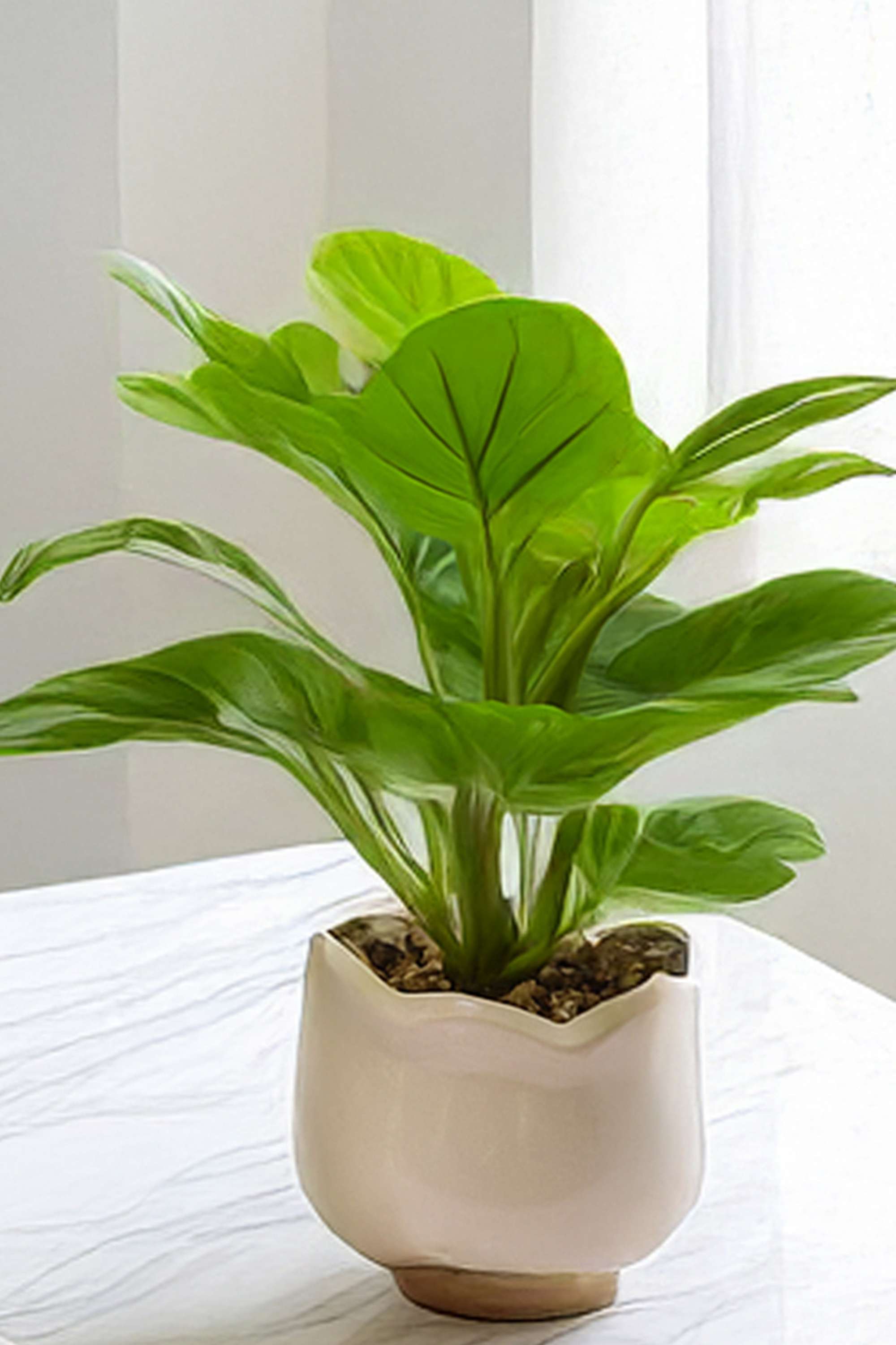 Noir-Plastic-Artifical-Potted-Plants-30-cm