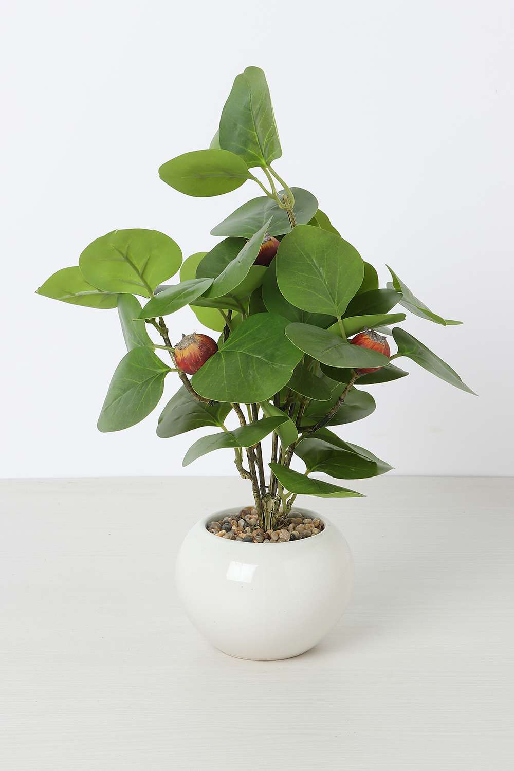 Noir-Pomogrenate-Potted-Plant-30-cm