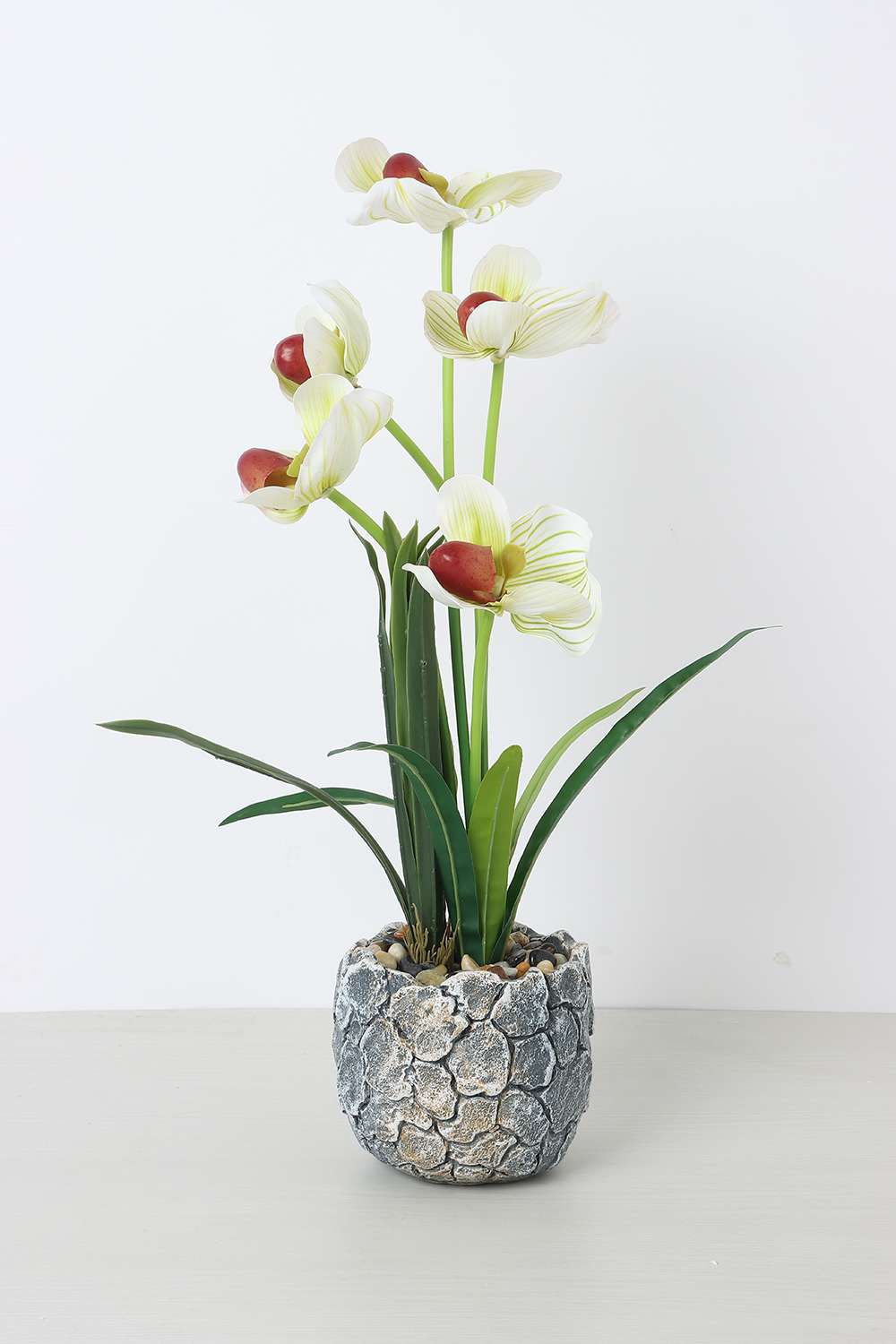 Noir-Fairy-Bloom-Potted-Flower-50-cm