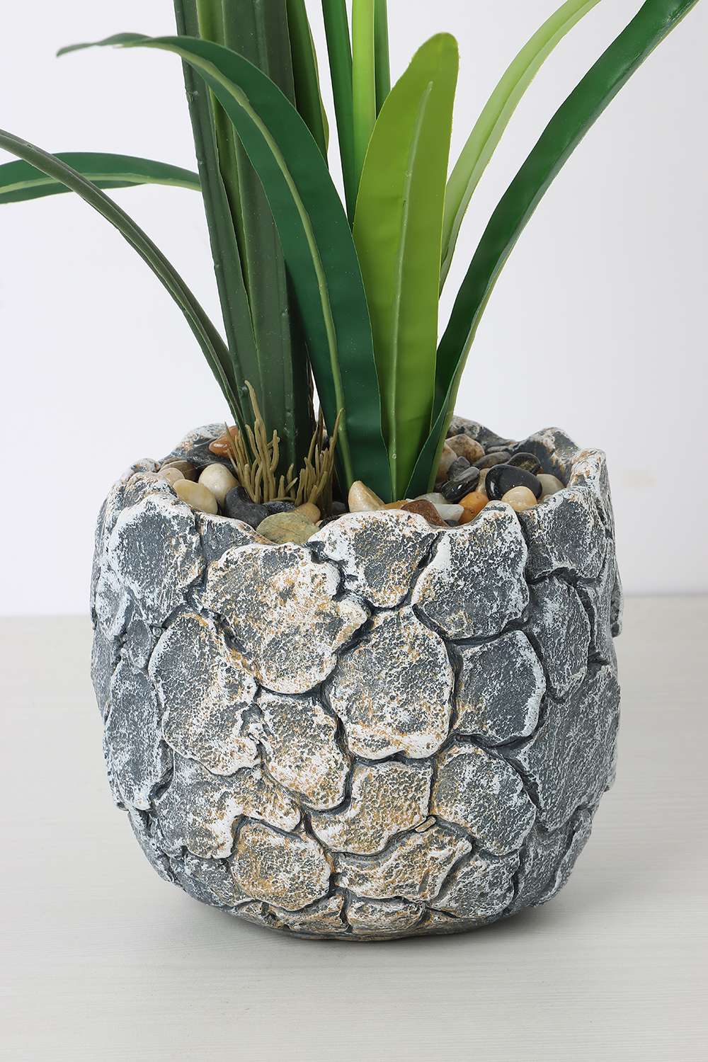 Noir-Fairy-Bloom-Potted-Flower-50-cm