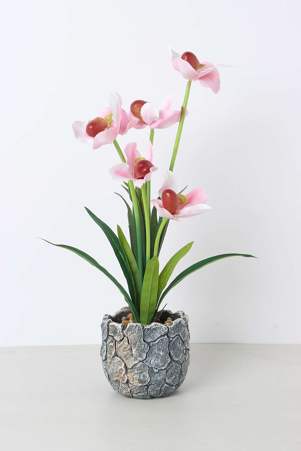 Noir-Fairy-Bloom-Potted-Flower-50-cm