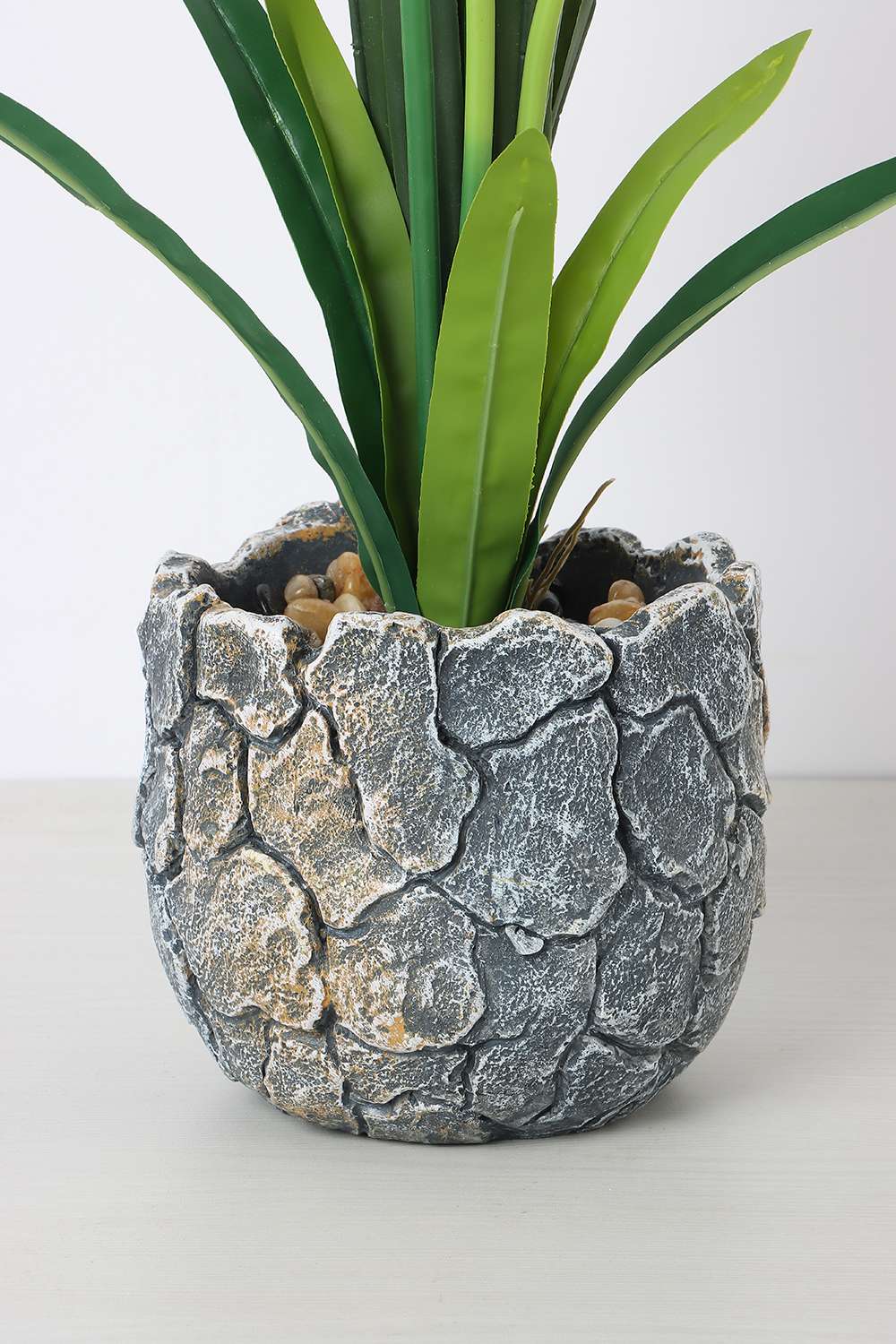 Noir-Fairy-Bloom-Potted-Flower-50-cm