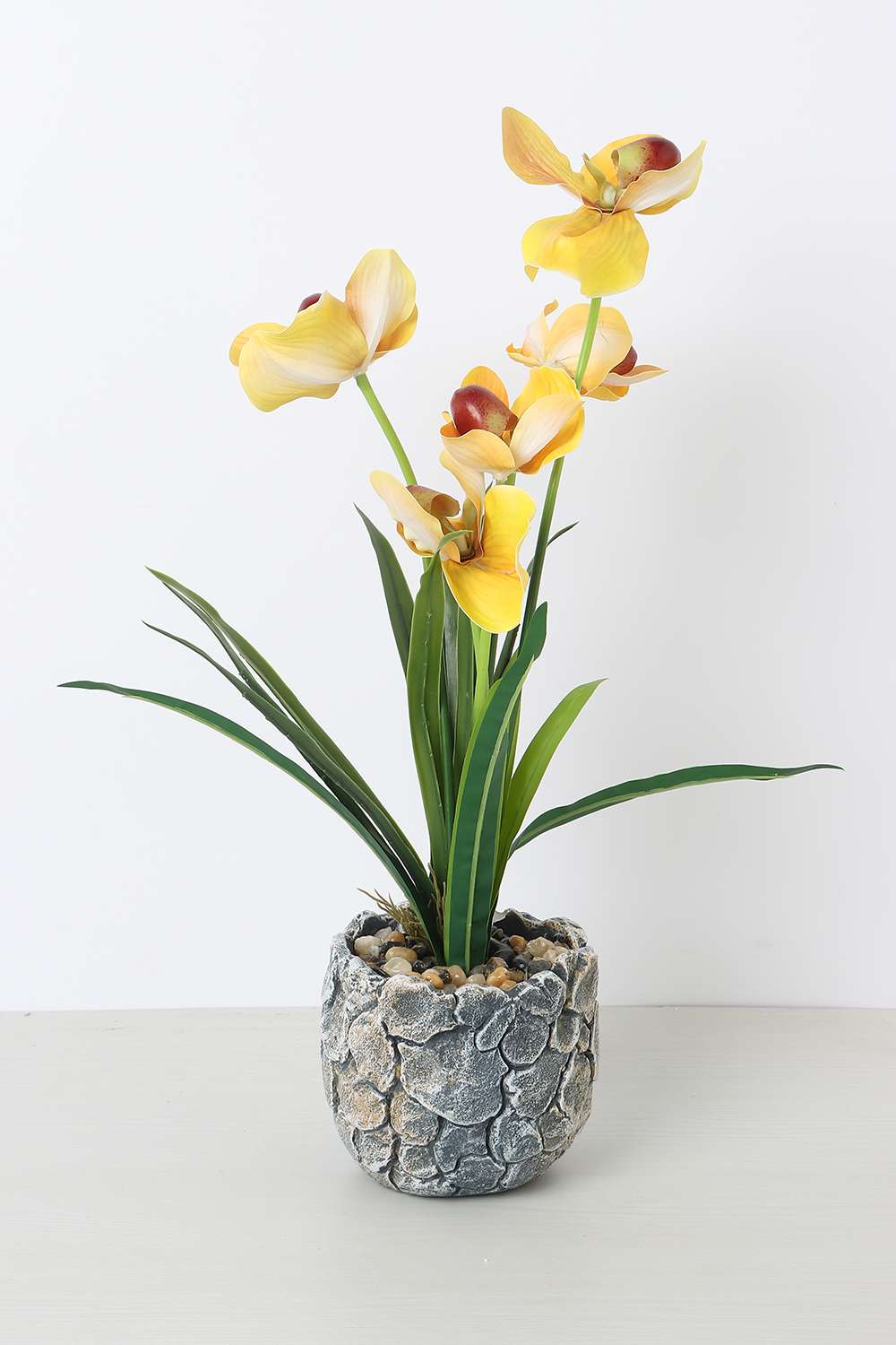 Noir-Fairy-Bloom-Potted-Flower-50-cm