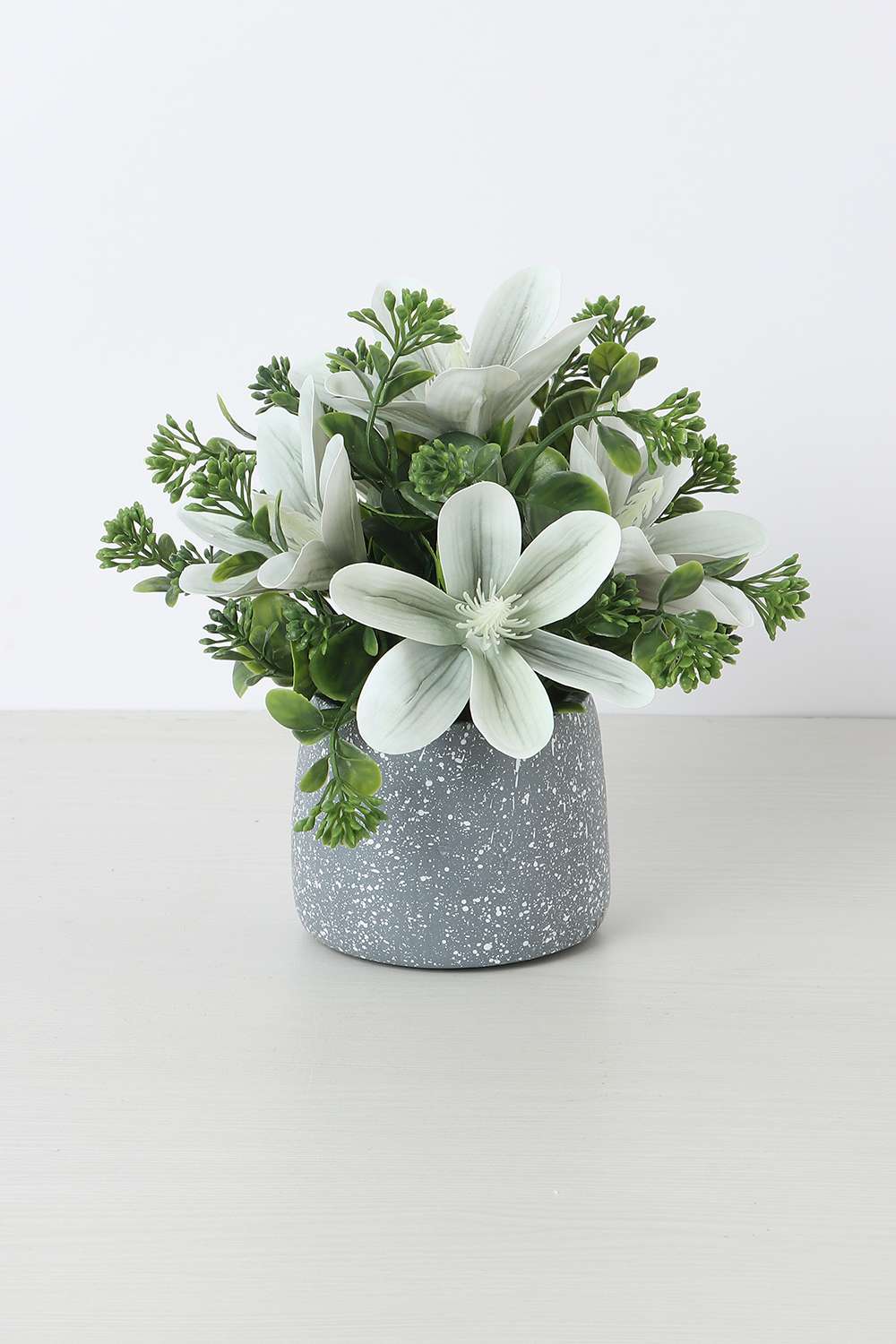 Noir-Magnolia-Potted-Flower-20-cm