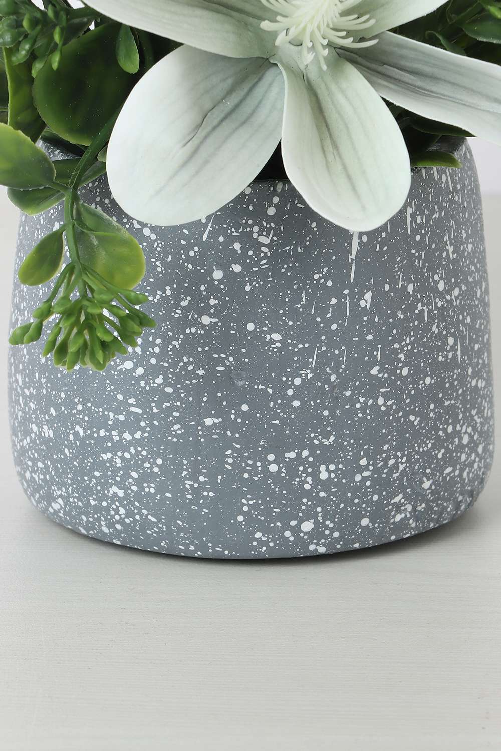 Noir-Magnolia-Potted-Flower-20-cm