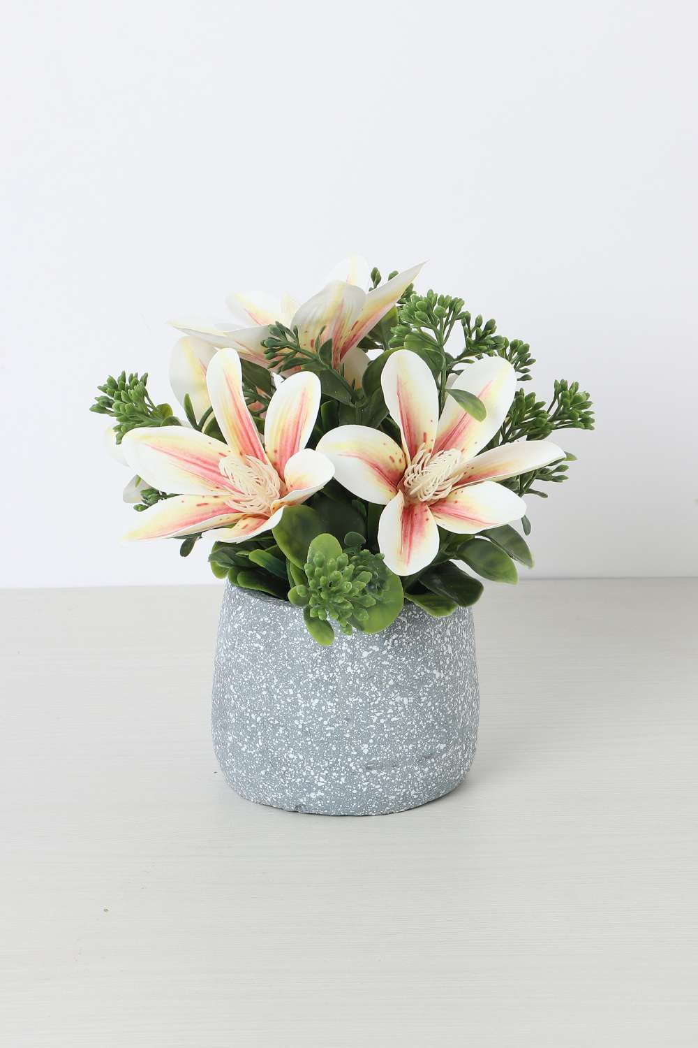 Noir-Magnolia-Potted-Flower-20-cm