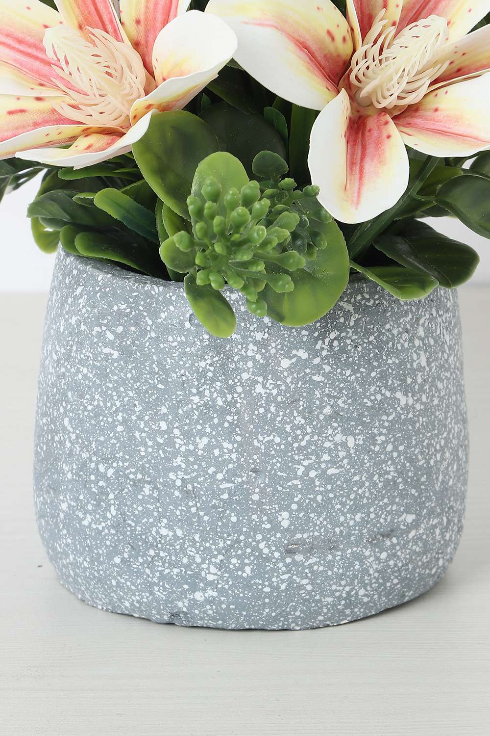 Noir-Magnolia-Potted-Flower-20-cm