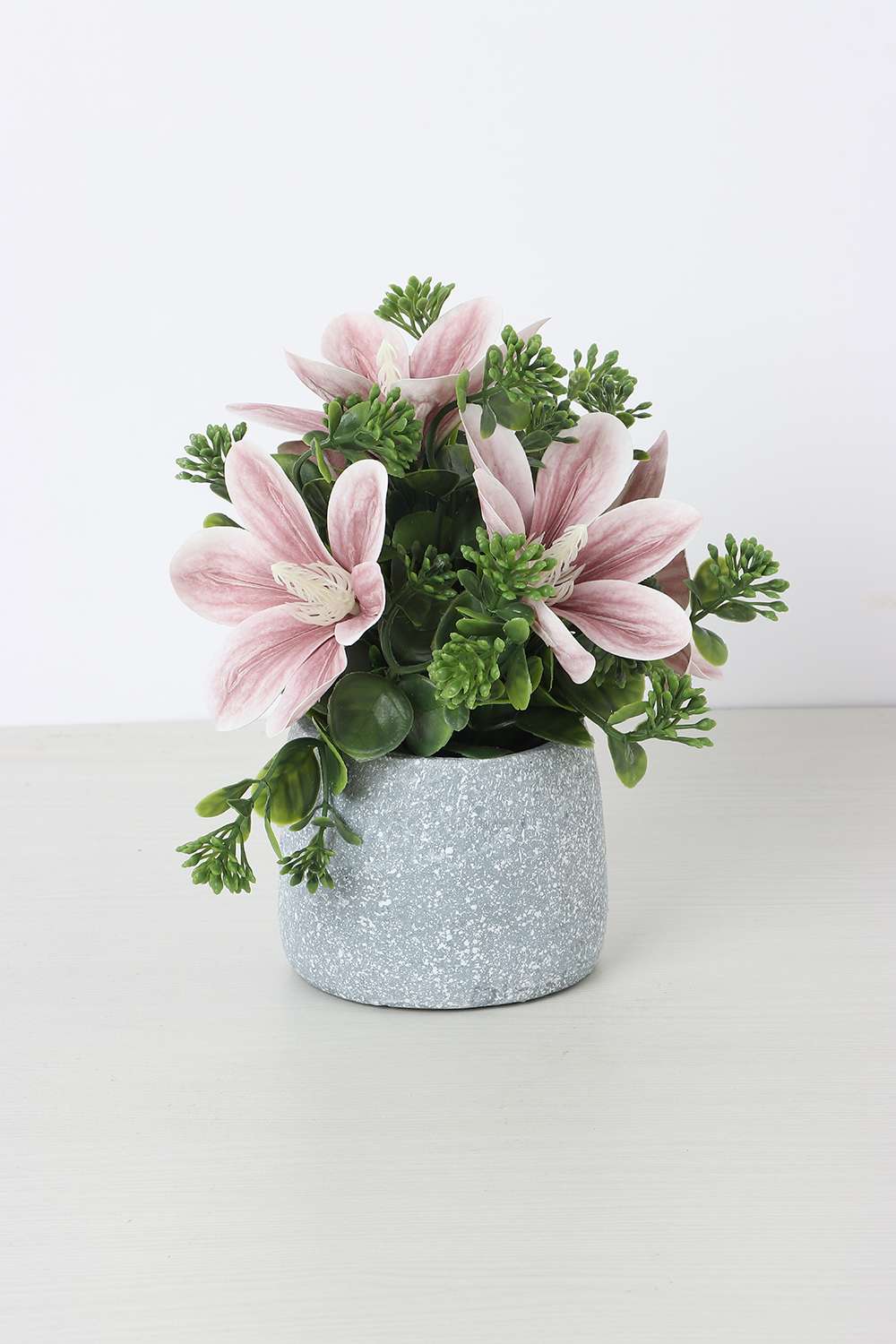 Noir-Magnolia-Potted-Flower-20-cm