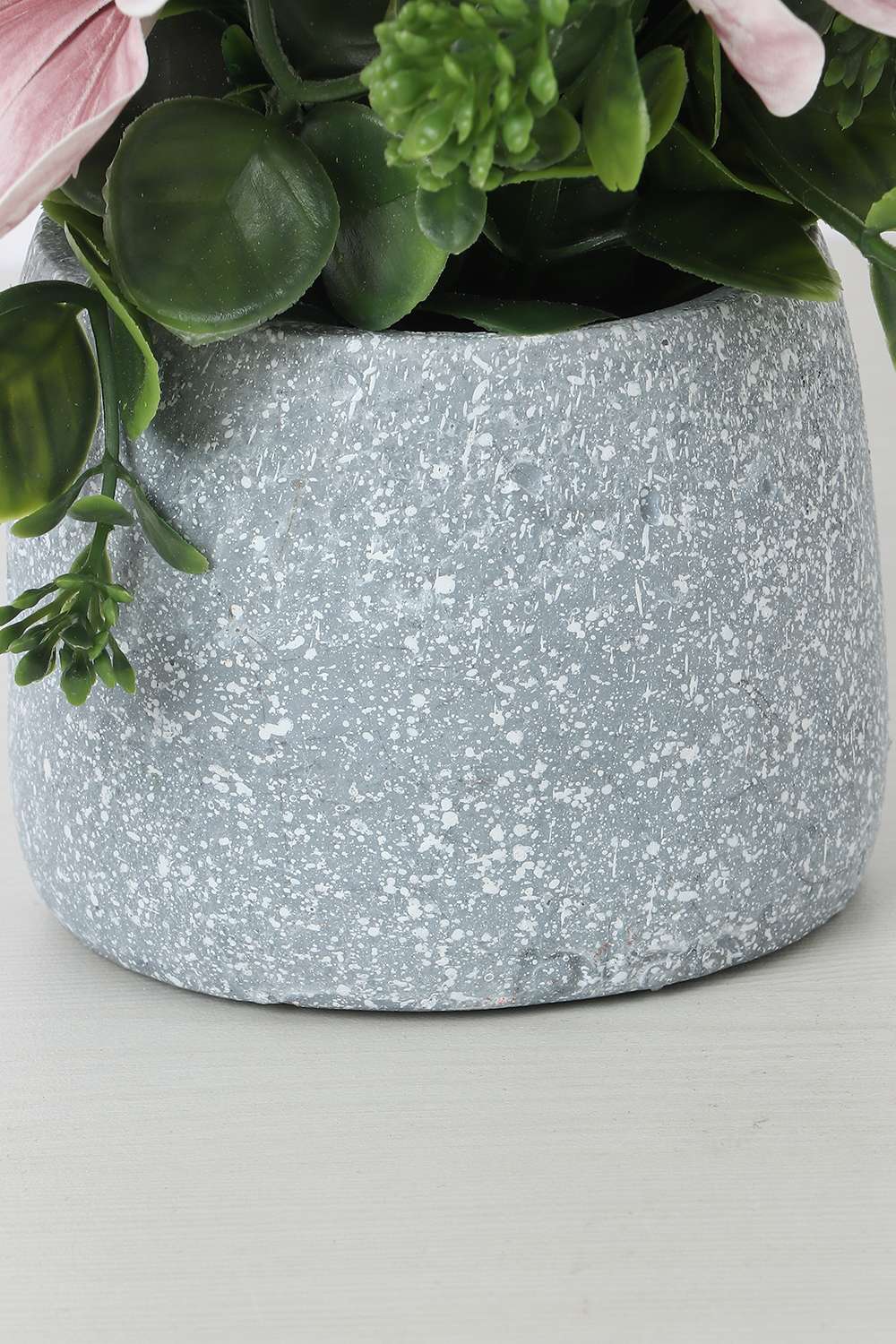 Noir-Magnolia-Potted-Flower-20-cm