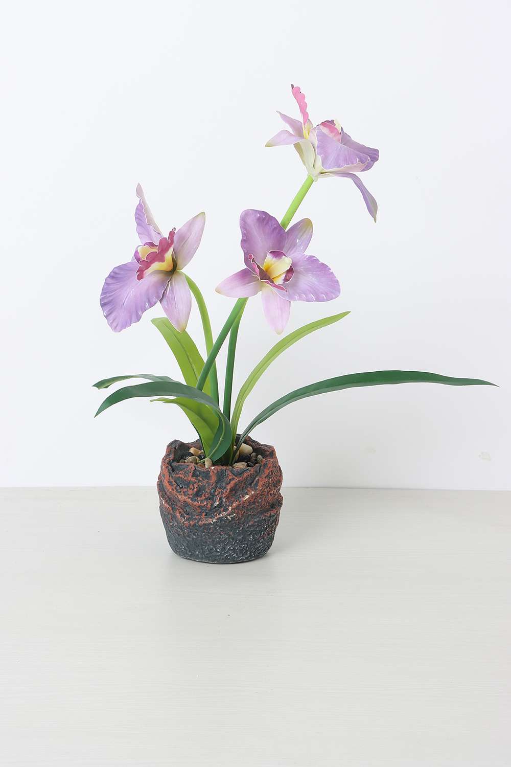 Noir-Wild-Potted-Flower-40-cm