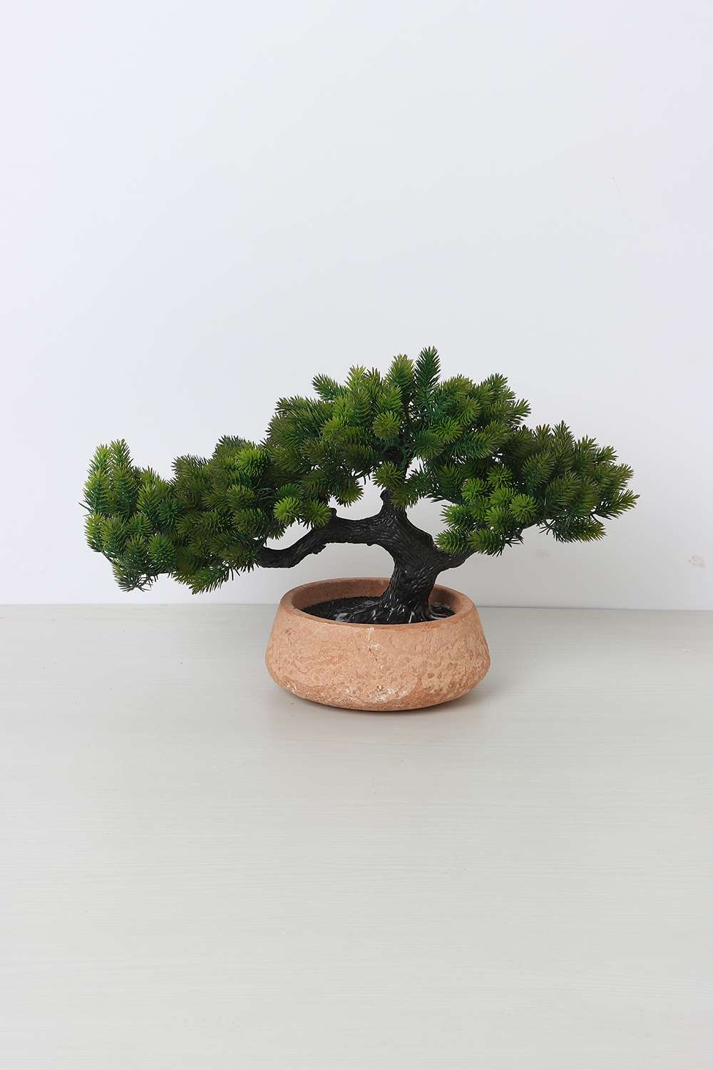 Noir-Ex-Broad-Bonsai-Potted-Plant-25-cm