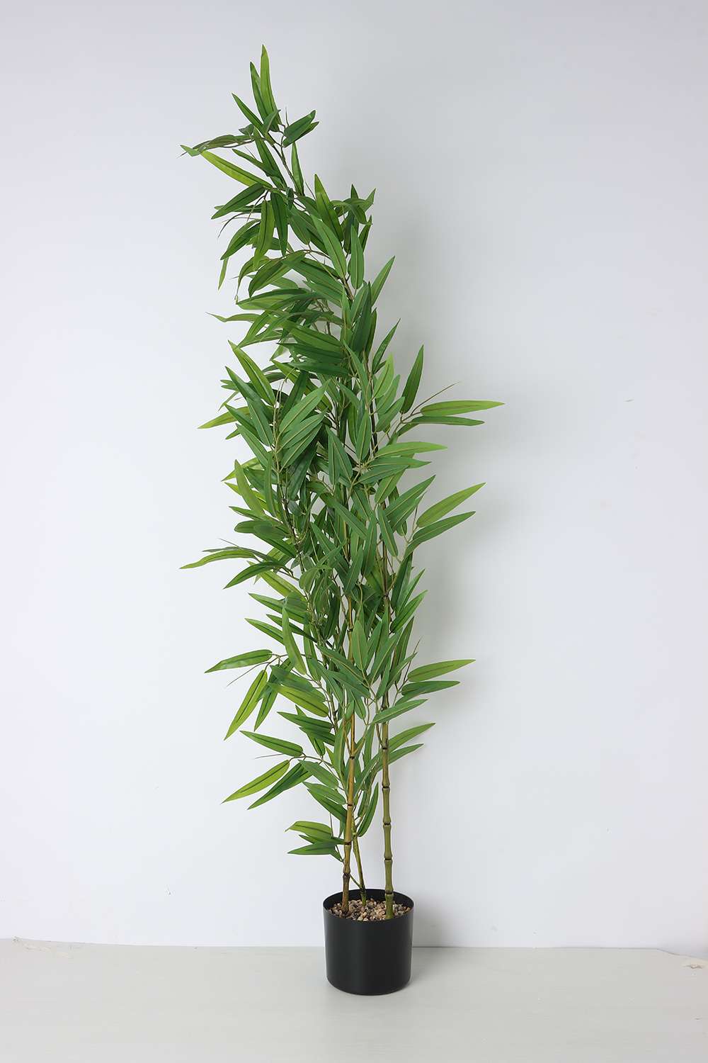 Noir-Long-Bamboo-Tree-150-cm
