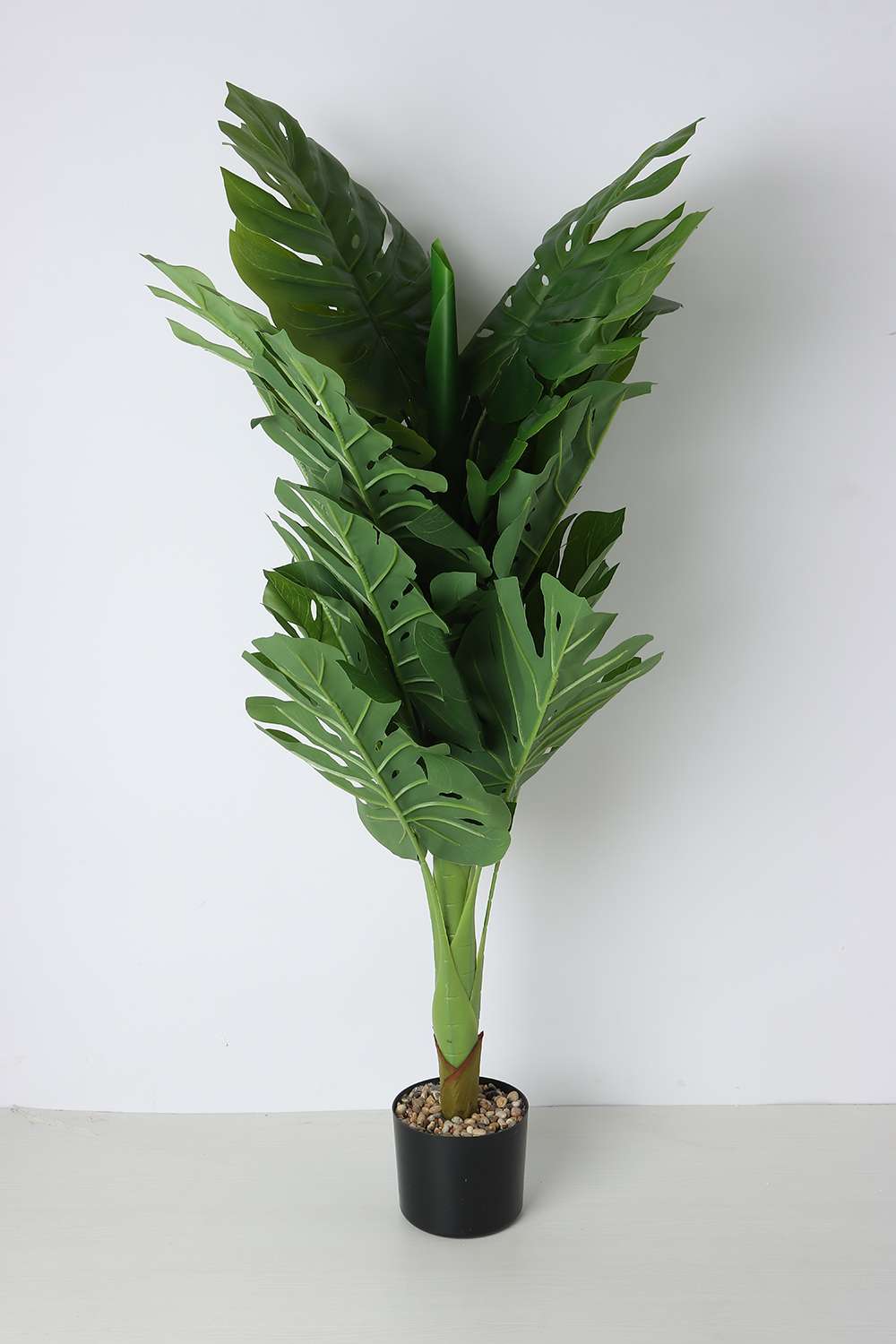 Noir-Rel-Trnk-Monstera-Potted-Tree-120M-cm