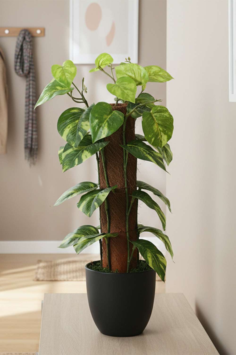 Noir-Rel-Trunk-Monstera-Drk-Grn-42-cm