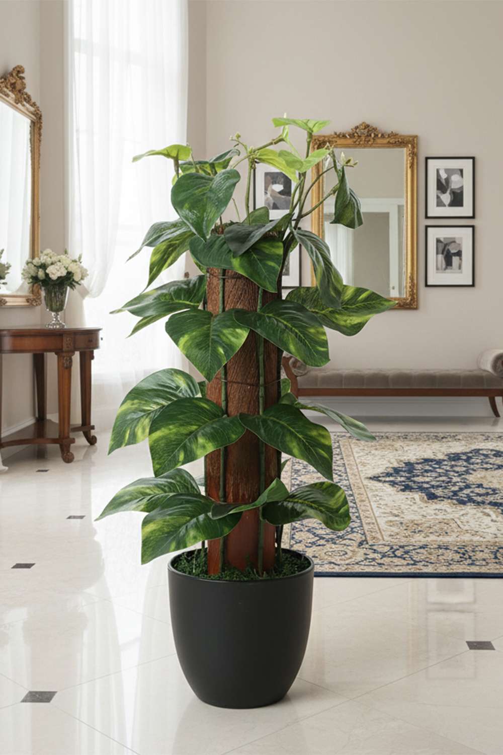 Noir-Rel-Trunk-Monstera-Lgt-Grn-42-cm