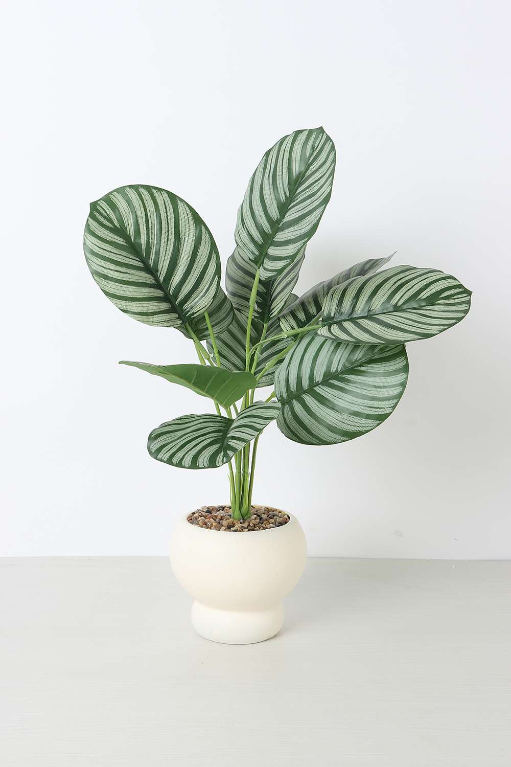 Noir-Shd-Crm-Pt-Potted-Plant-B-37-cm