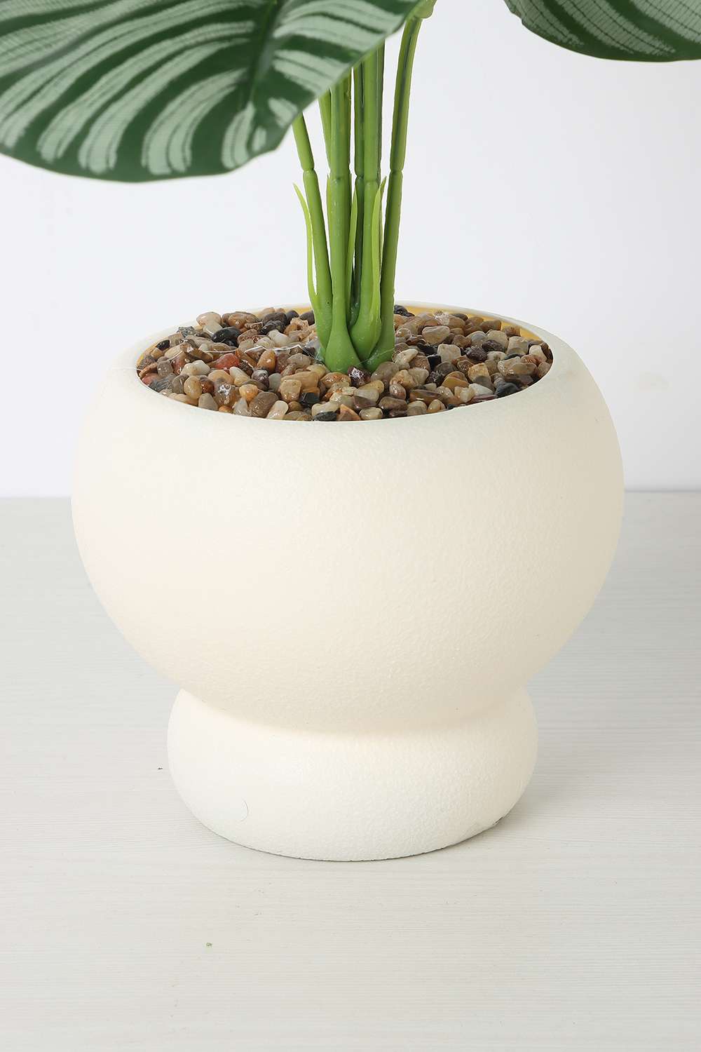 Noir-Shd-Crm-Pt-Potted-Plant-B-37-cm