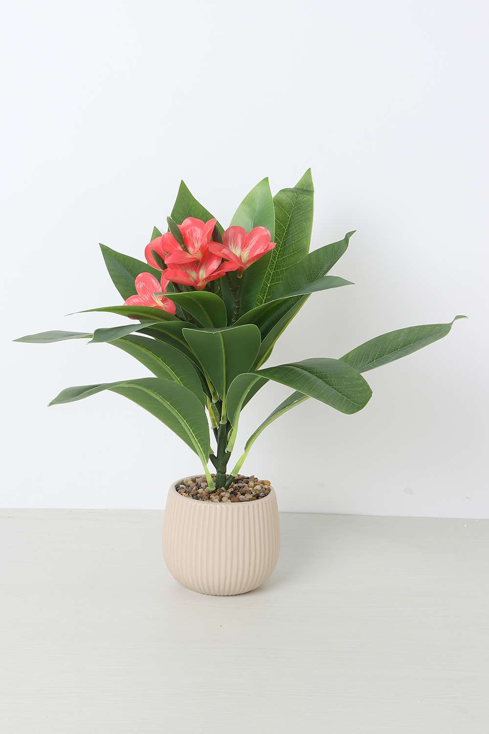 Noir-Willow-Potted-Plant-Red-38-cm