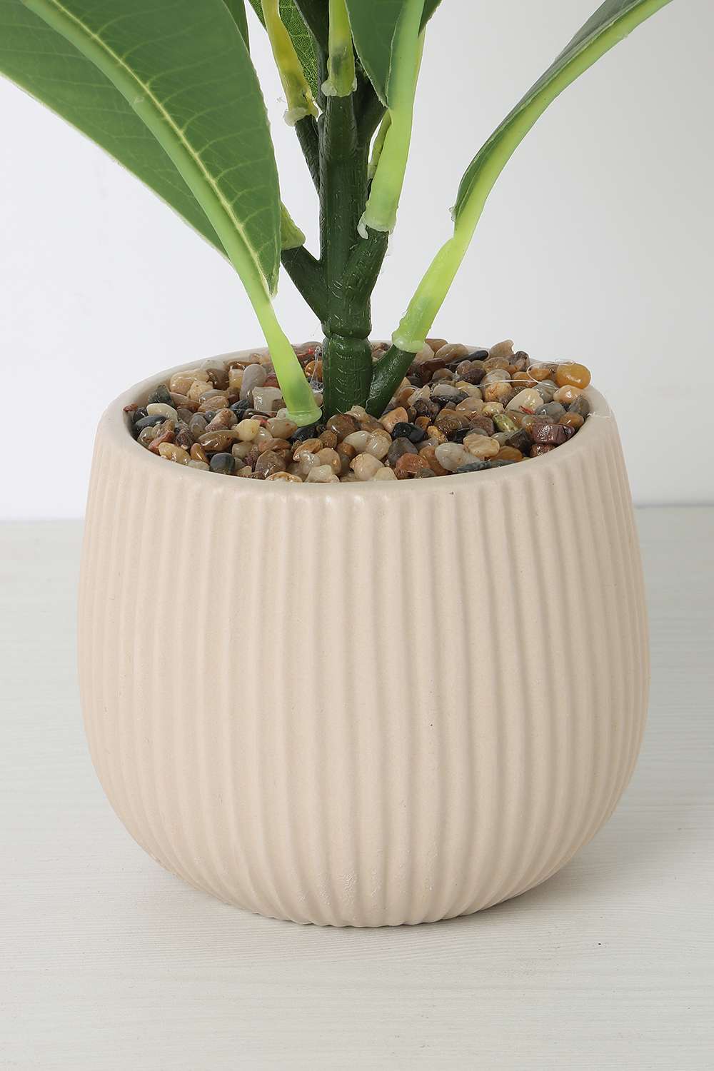 Noir-Willow-Potted-Plant-Red-38-cm