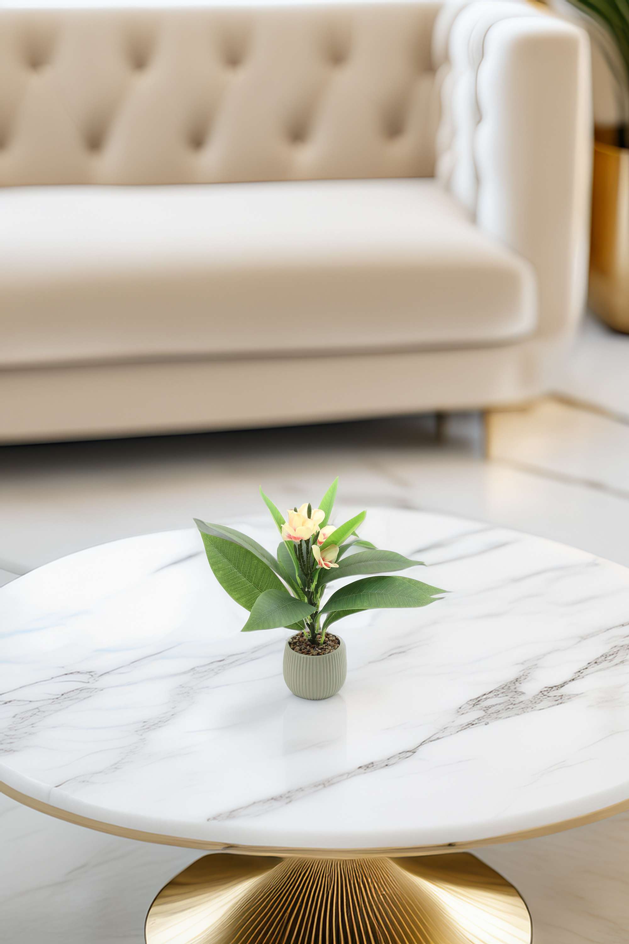 Noir-Willow-Potted-Plant-38-cm