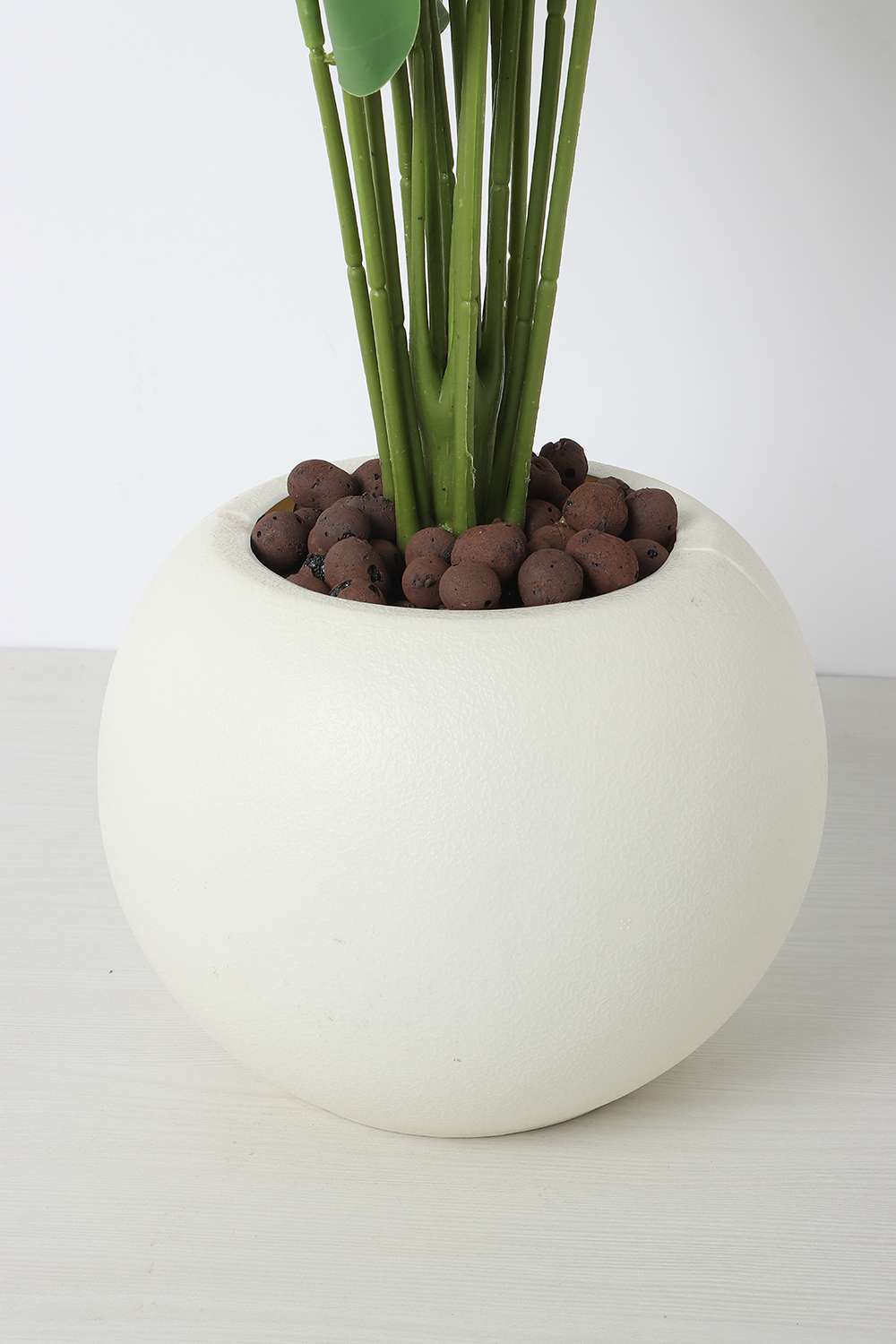 Noir-Shd-Crm-Pt-Potted-Tree-B-75-cm